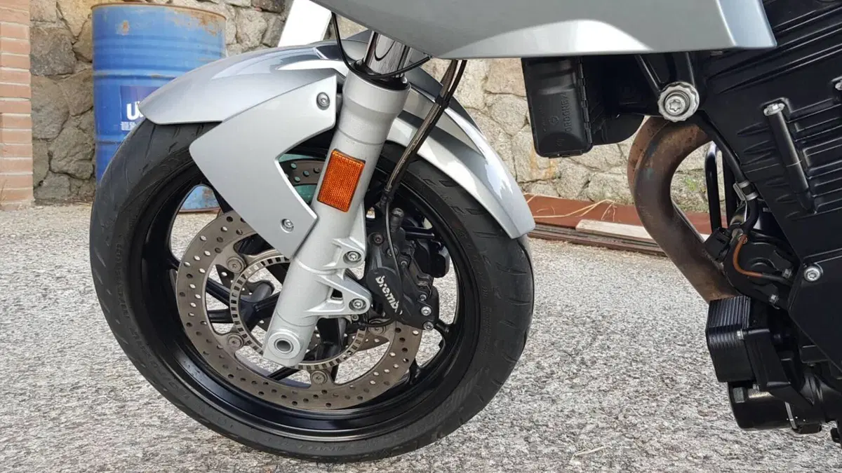 Bmw F 800 S  (5)