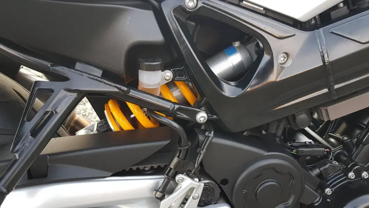 Bmw F 800 S  (8)