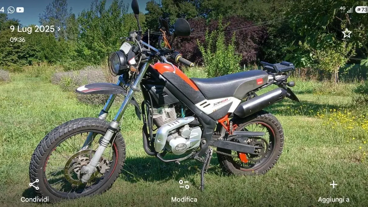 Rieju Tango 250 (2009 - 17) 