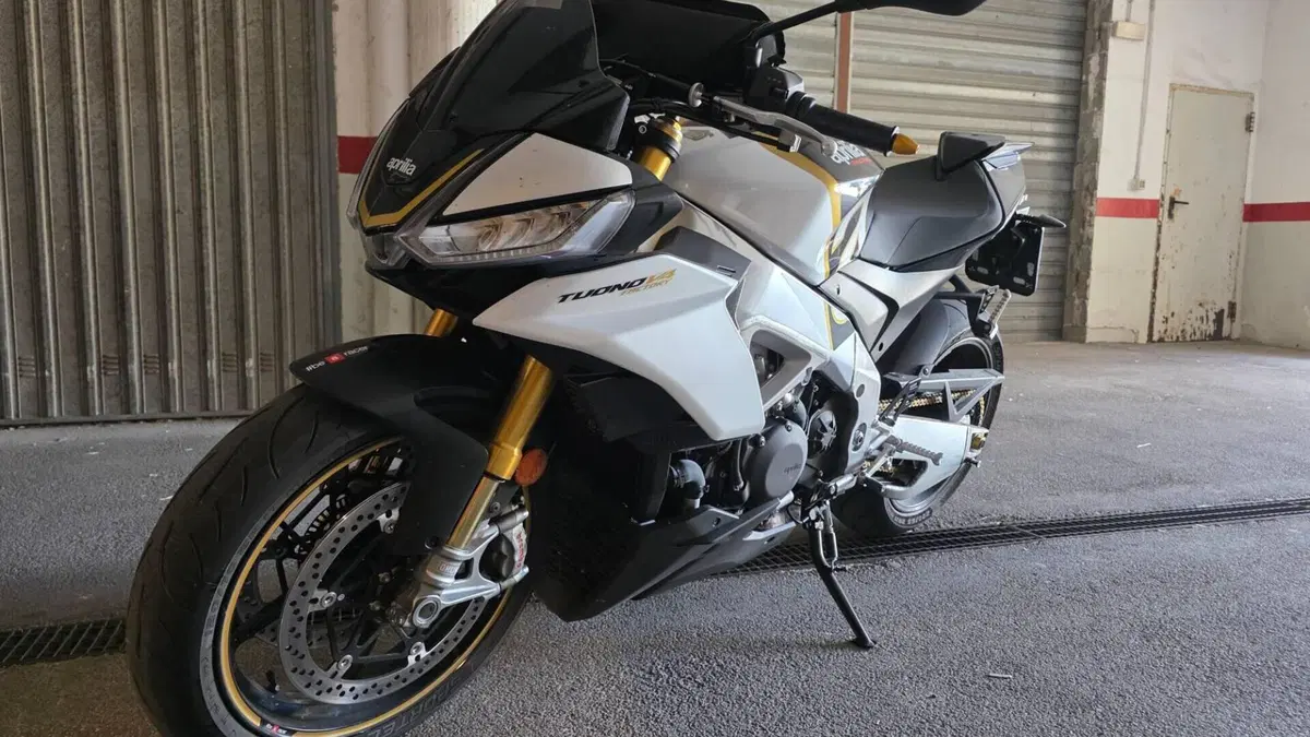 Aprilia Tuono V4 Factory (2021 - 24)  (11)