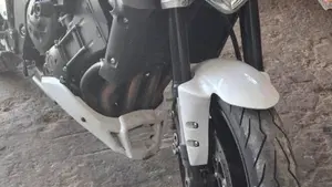 Yamaha FZ1 (2006 - 16)  (2)