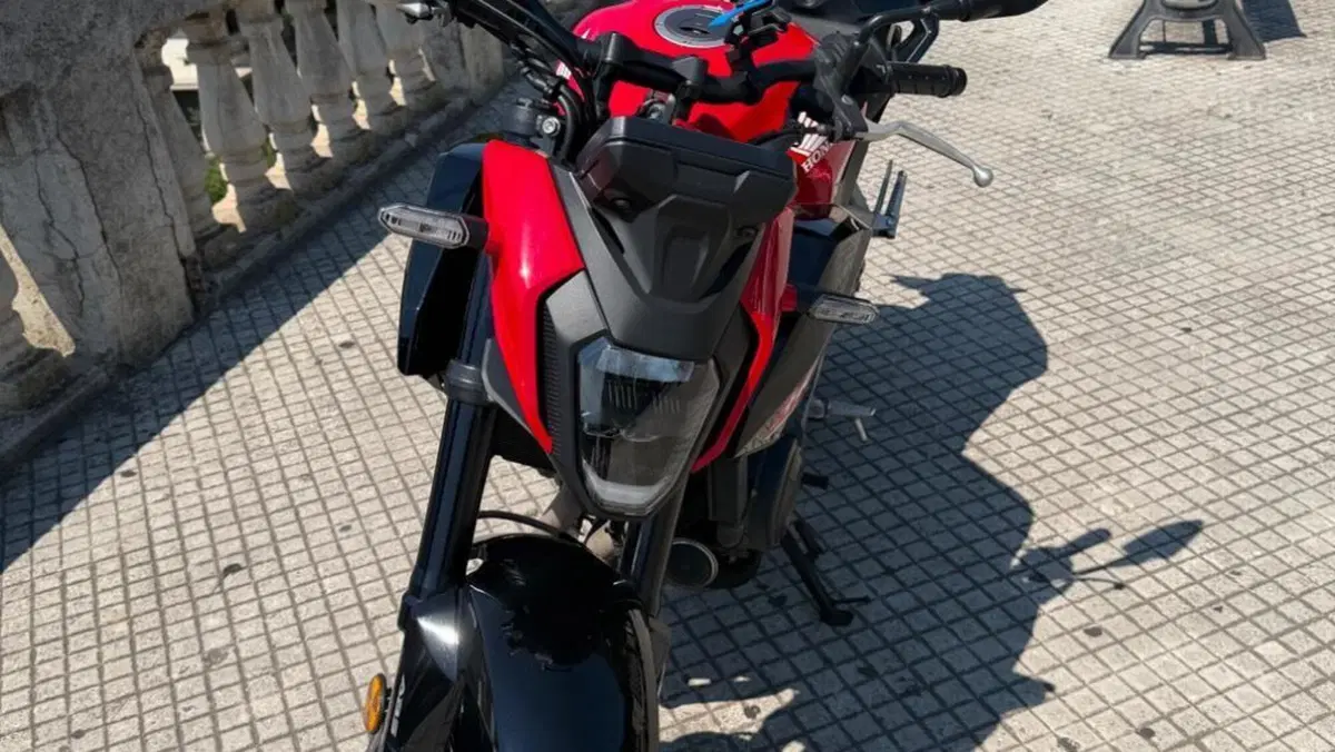 Honda CB 500 Hornet (2024 - 25)  (9)