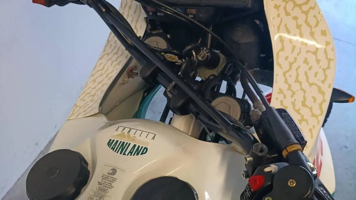 Aprilia   (8)