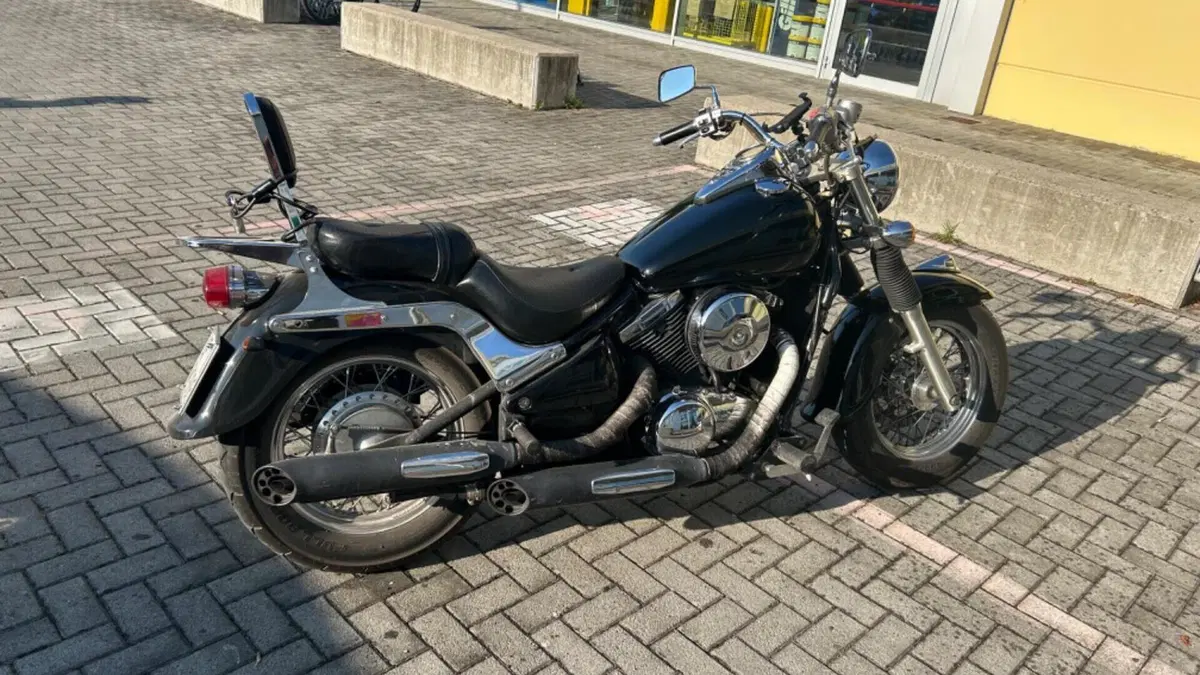 Kawasaki VN 800 Classic (1996 - 00)  (4)