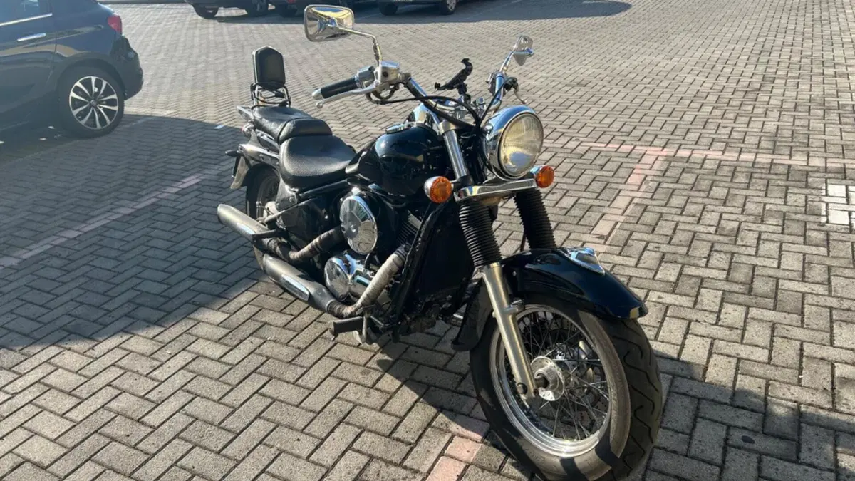 Kawasaki VN 800 Classic (1996 - 00)  (6)