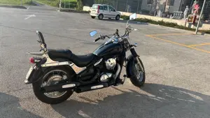 Kawasaki VN 800 Classic (1996 - 00)  (8)