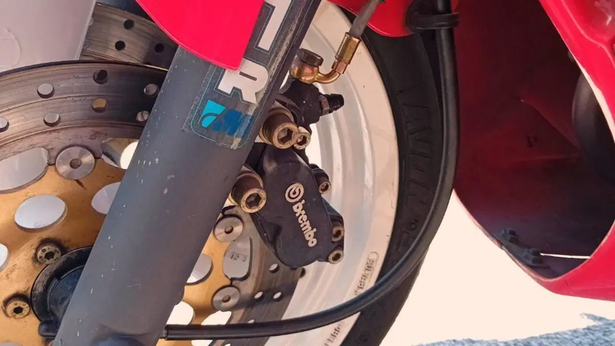 Ducati   (7)