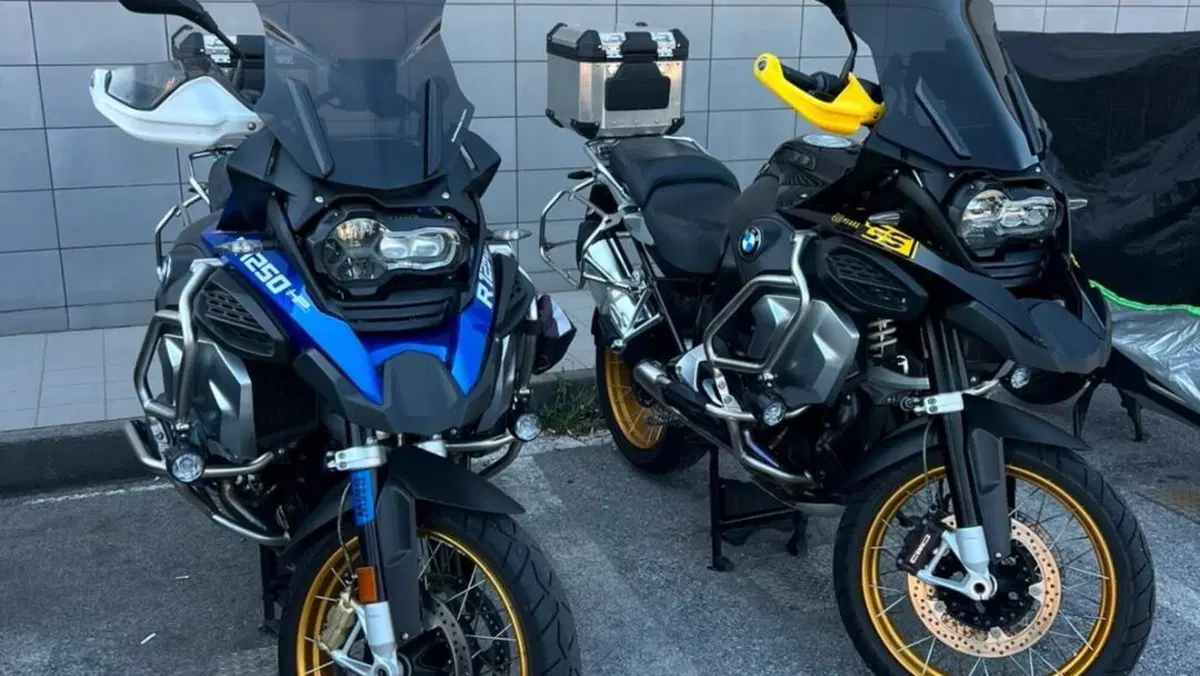 Bmw R 1250 GS Adventure - Edition 40 Years GS (2020 - 21)  (8)
