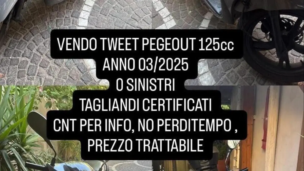 Peugeot Tweet 125i Active (2021 - 25) 