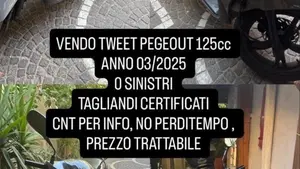 Peugeot Tweet 125i Active (2021 - 25) 