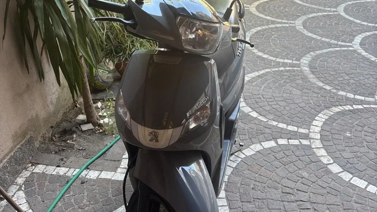 Peugeot Tweet 125i Active (2021 - 25)  (5)