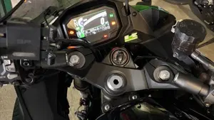 Kawasaki Ninja 1000 SX Tourer (2021 - 24)  (10)