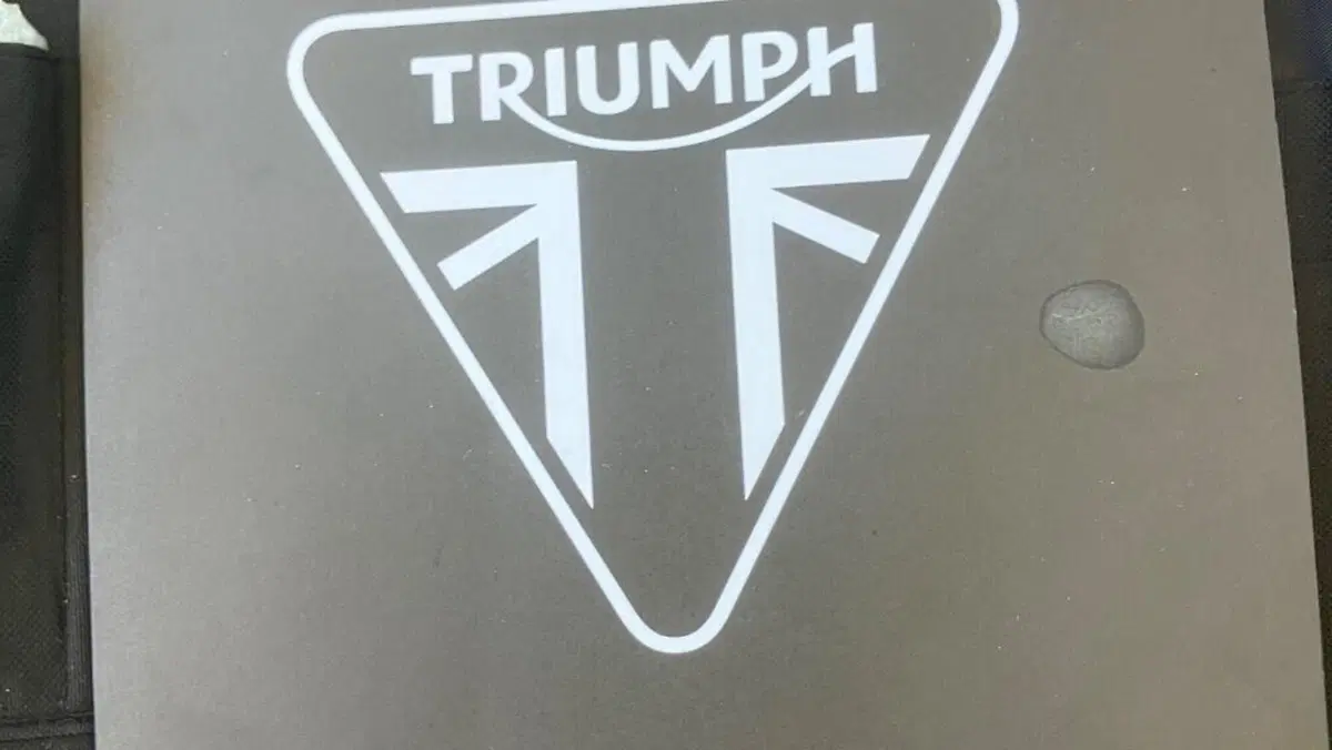 Triumph Bonneville T120 Bud Ekins SE (2020)  (7)