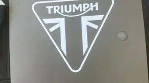 Triumph Bonneville T120 Bud Ekins SE (2020)  (7)
