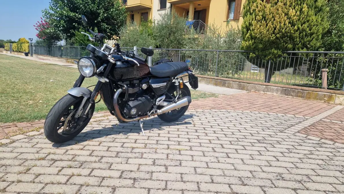 Triumph Speed Twin 1200 Stealth Edition (2024)  (8)