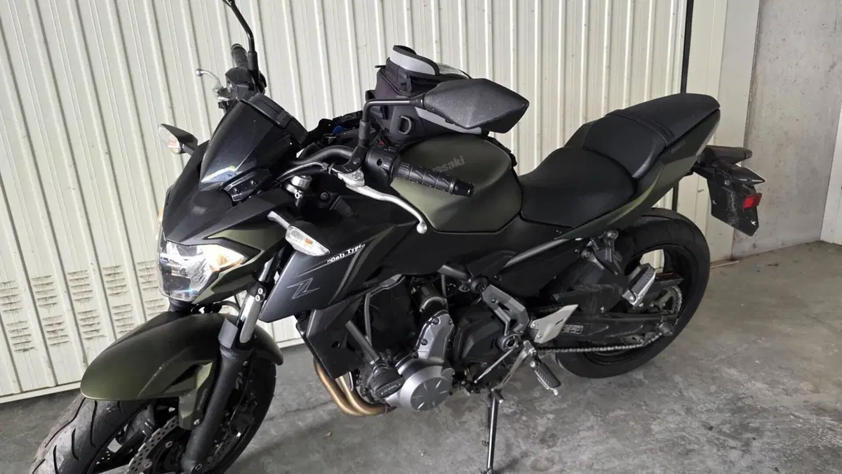 Kawasaki Z 650 (2017 - 19)  (2)