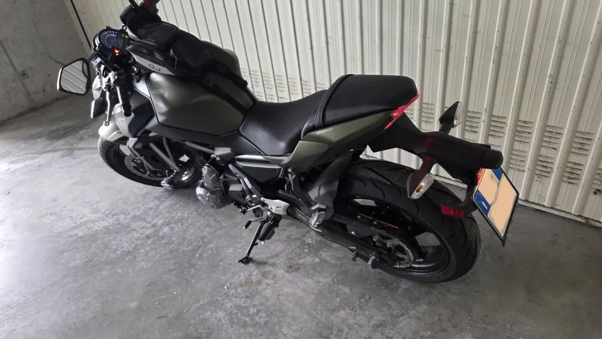 Kawasaki Z 650 (2017 - 19)  (4)