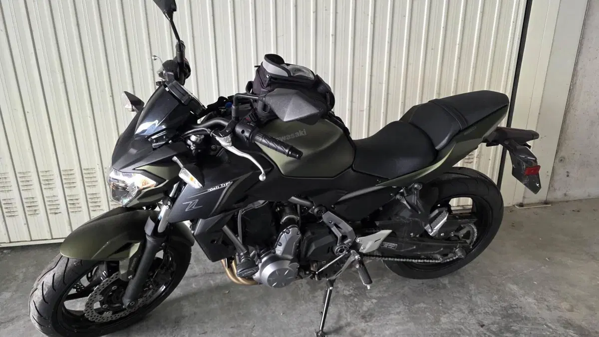 Kawasaki Z 650 (2017 - 19)  (7)