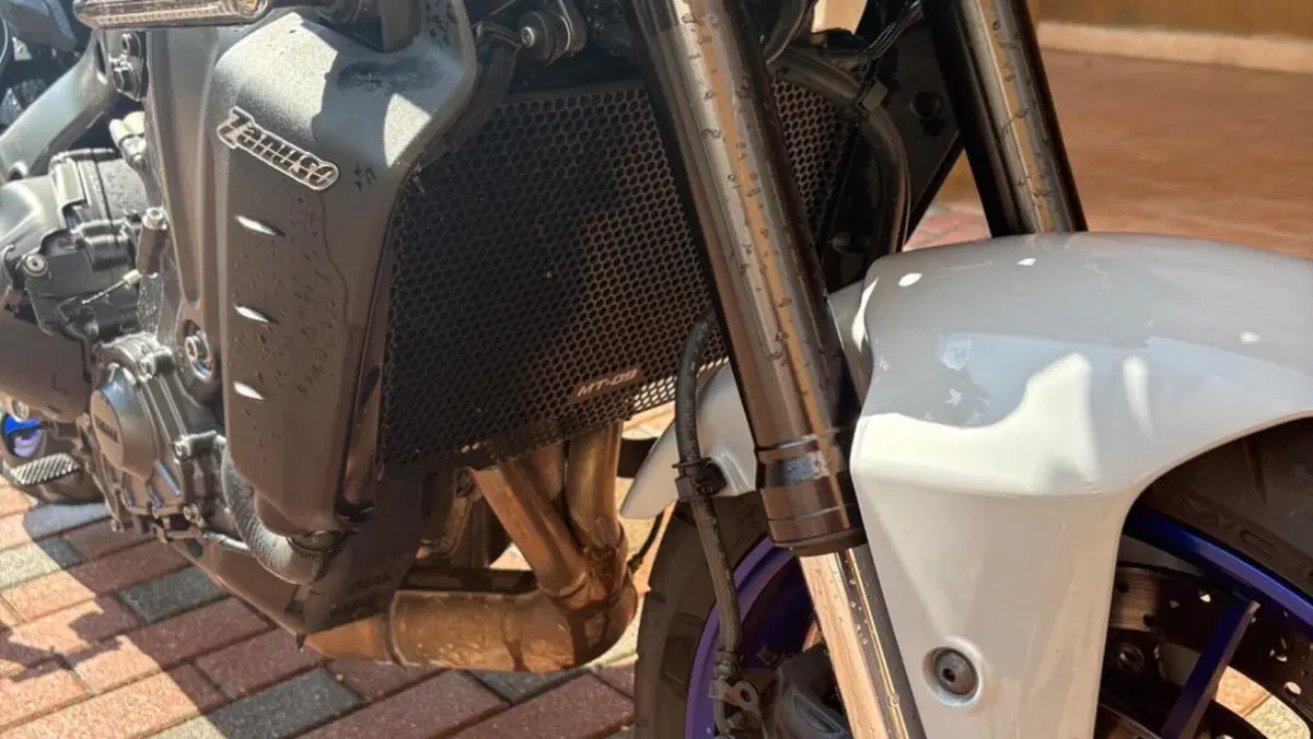 Yamaha MT-09 (2021 - 23)  (4)