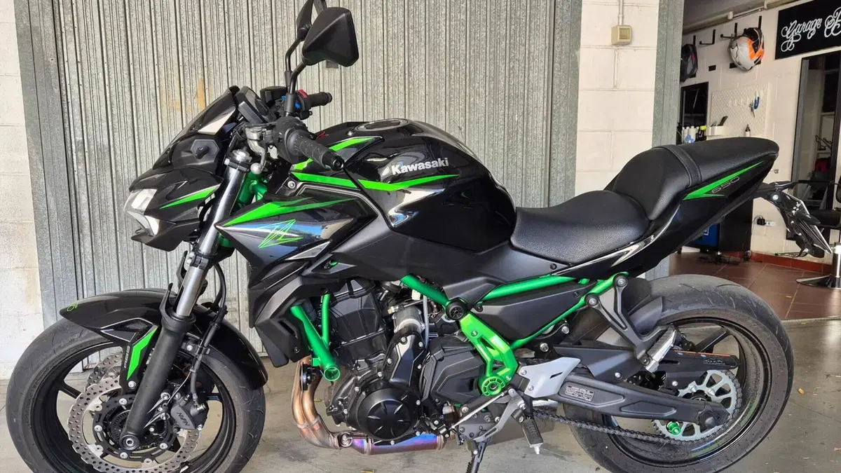 Kawasaki Z 650 (2025 - 26) 