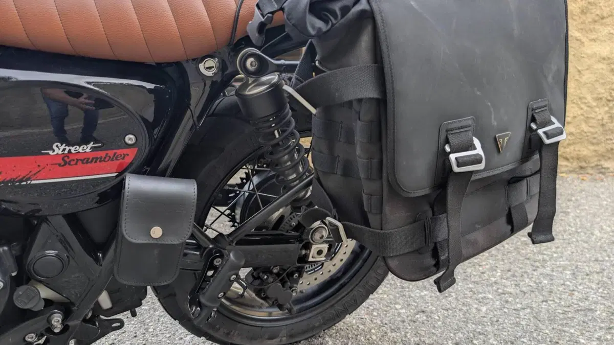 Triumph Street Scrambler 900 (2017 - 18)  (7)