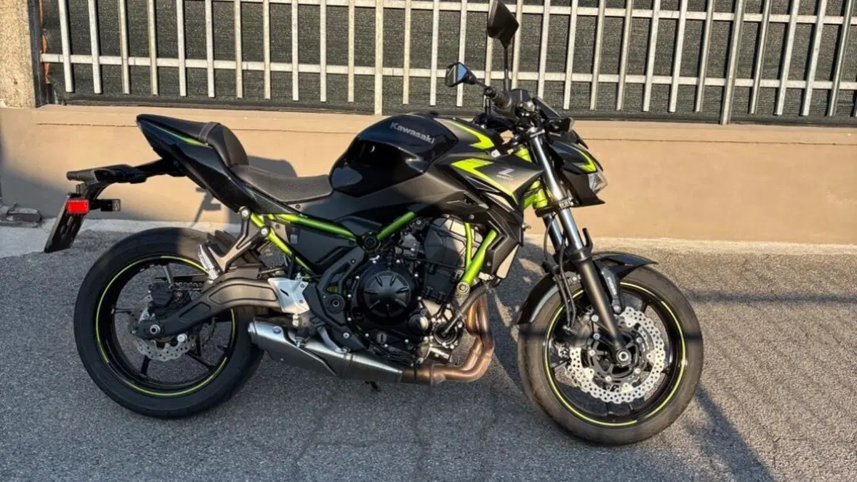 Kawasaki Z 650 (2021 - 24)  (2)