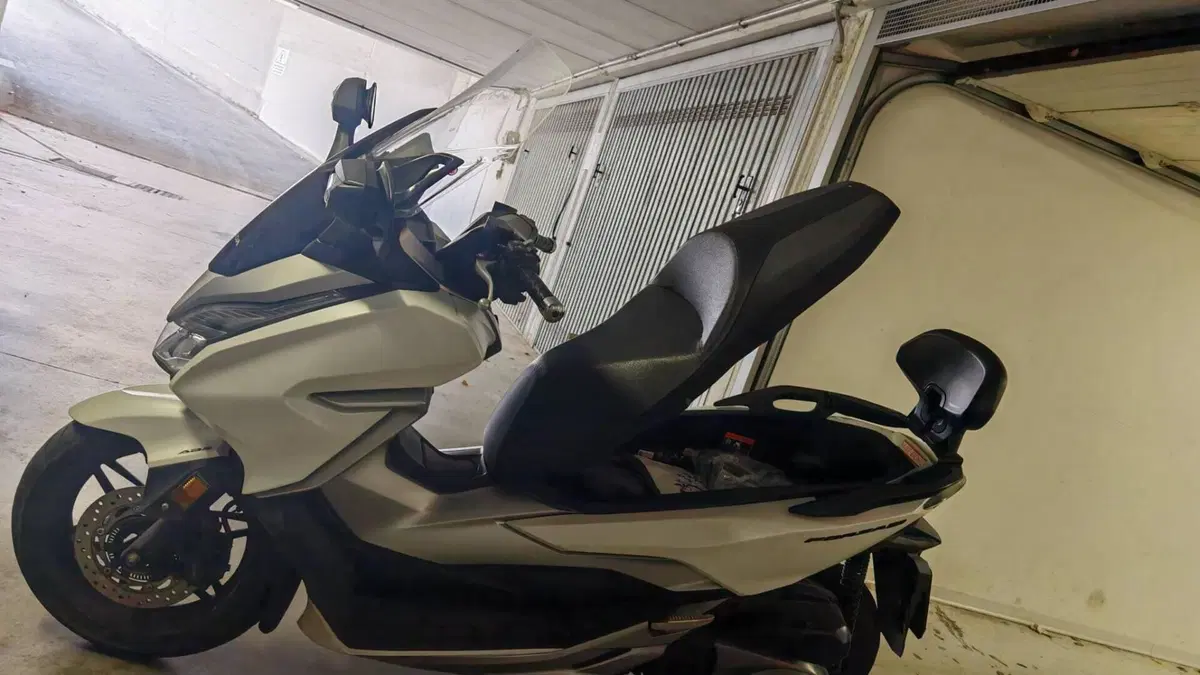 Honda Forza 300 ABS (2018 - 20)  (2)