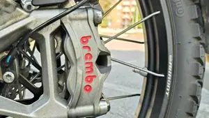 Triumph Tiger 900 Rally Pro (2020 - 23)  (9)