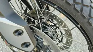 Triumph Tiger 900 Rally Pro (2020 - 23)  (11)