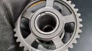 HM CRE 250 X (2005 - 06)   (7)