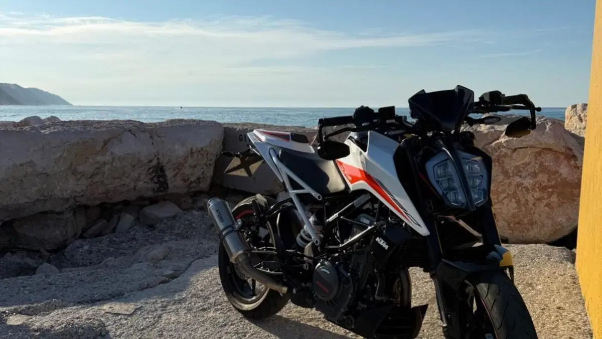 KTM 390 Duke (2021 - 23)  (2)
