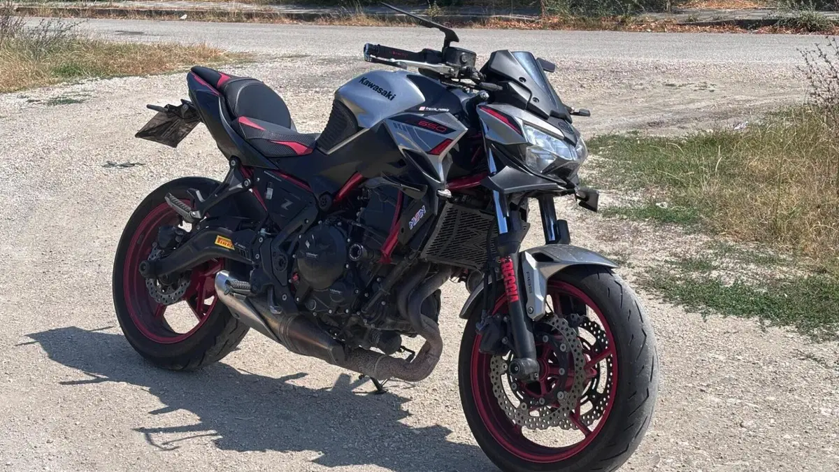 Kawasaki Z 650 (2021 - 24)  (4)