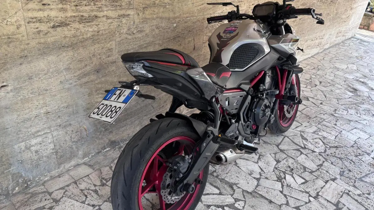 Kawasaki Z 650 (2021 - 24)  (5)