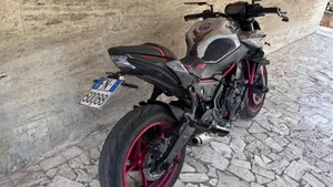 Kawasaki Z 650 (2021 - 24)  (5)