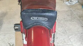 Demm Dick Dick Sport Unificato  epoca