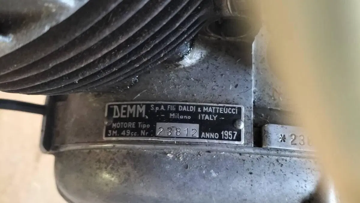Demm   (5)