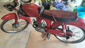 Demm   (11)
