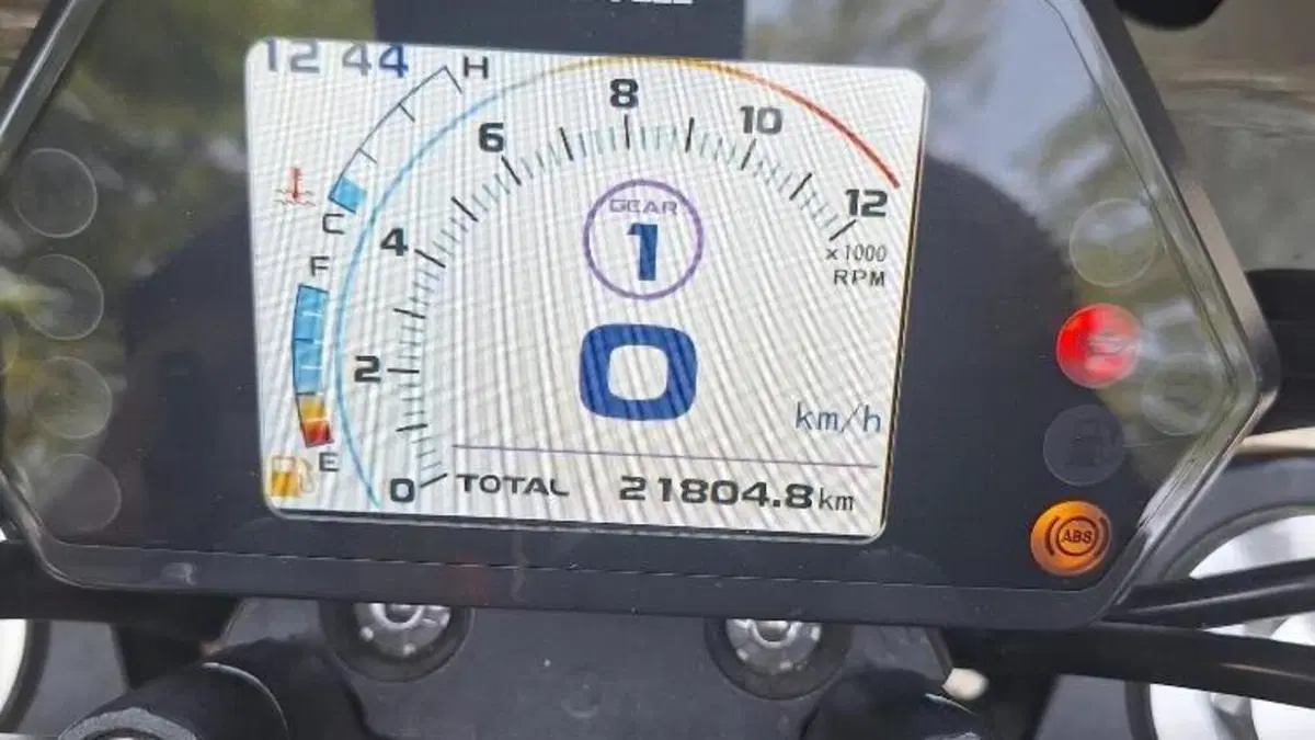 Benelli 502 C (2021 - 25)  (3)