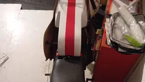Yamaha   (3)