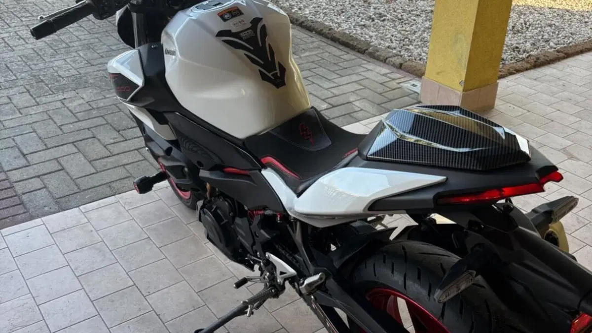 Kawasaki Z 500 SE Sport (2025 - 26)  (2)