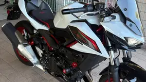 Kawasaki Z 500 SE Sport (2025 - 26)  (6)