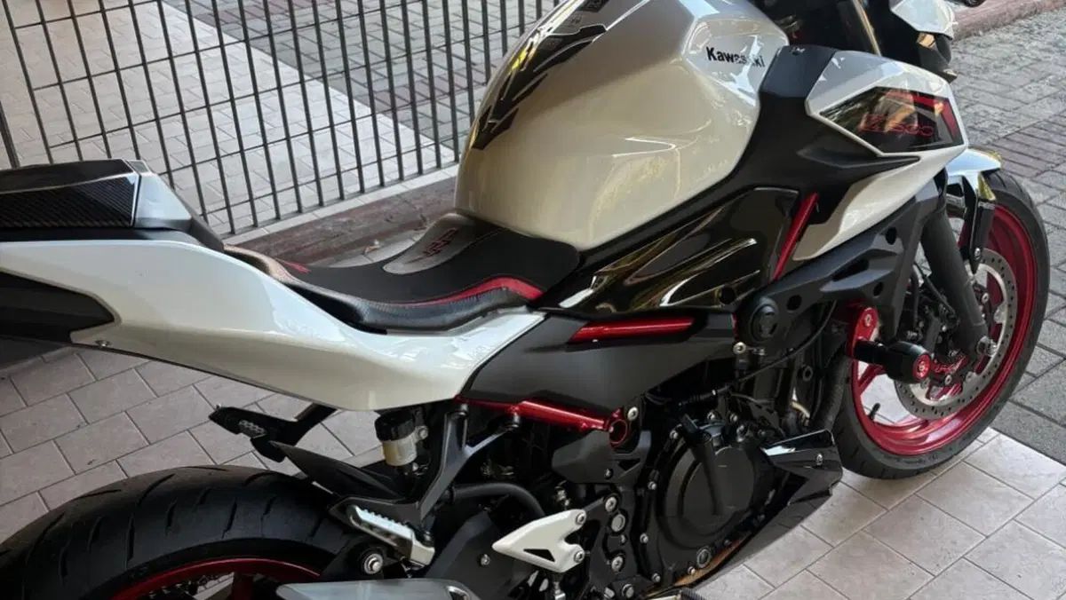 Kawasaki Z 500 SE Sport (2025 - 26)  (7)