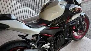 Kawasaki Z 500 SE Sport (2025 - 26)  (7)