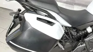 Kawasaki Versys 650 (2017 - 20)  (5)