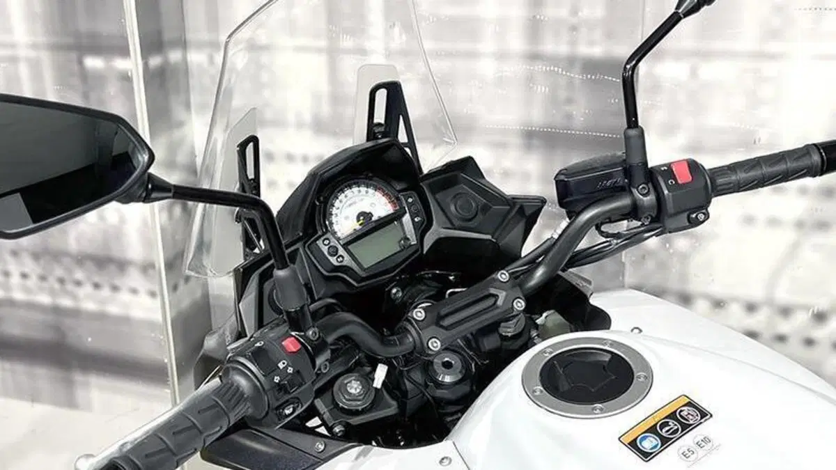 Kawasaki Versys 650 (2017 - 20)  (6)