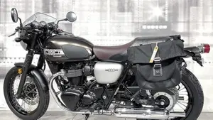 Kawasaki W 800 (2020)  (2)