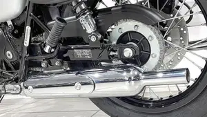 Kawasaki W 800 (2020)  (4)