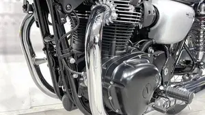 Kawasaki W 800 (2020)  (5)