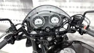 Kawasaki W 800 (2020)  (6)