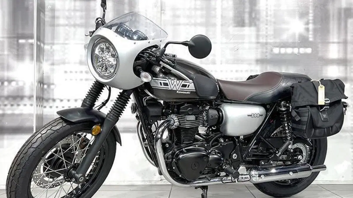 Kawasaki W 800 (2020)  (7)